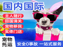 玉树巴塘航空空运国际宠物托运 【国